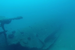 Golesnica wreck dive - Diving Montenegro - Adriatic Blue diving club