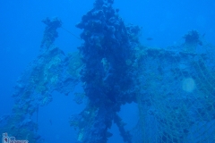 HIGINS - Diving Montenegro - Adriatic Blue diving club