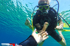 GdsfOPR6855-diving-montenegro-adriatic-blue-club-herceg-novi-zanjice-intro-dive-scuba-diving-discovery