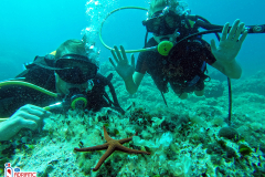 kids-decije-ronjenje-children-Diving-Montenegro---Adriatic-Blue-diving-club---P8fg