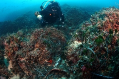 Mamula Island dive - Diving Montenegro - Adriatic Blue diving club