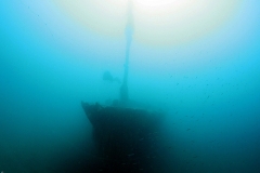 Patrolac - patrol boat wreck - Diving Montenegro - Adriatic Blue diving club - IMG_5942