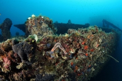 Patrolac - patrol boat wreck - Diving Montenegro - Adriatic Blue diving club - IMG_5952