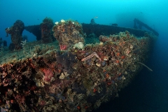 Patrolac - patrol boat wreck - Diving Montenegro - Adriatic Blue diving club - IMG_5953