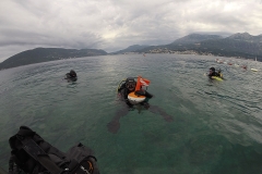 Cape Rose - Diving Montenegro - Adriatic Blue diving club
