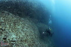Sirena hole mermaid holle ronjenje cave dive - ronjenje Diving Montenegro - Adriatic Blue diving club - IMG_8372