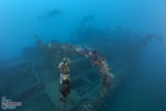 Tihani wreck dive - Diving Montenegro - Adriatic Blue diving club