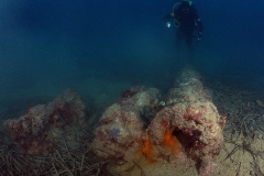 Turkish Galley wreck dive - Diving Montenegro - Adriatic Blue diving club