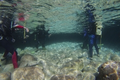 INTRO DIVE - Diving Montenegro - Adriatic Blue diving club