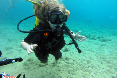 kids-decije-ronjenje-children-Diving-Montenegro---Adriatic-Blue-diving-club---P8sd