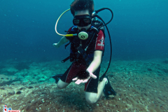 kids-decije-ronjenje-children-Diving-Montenegro---Adriatic-Blue-diving-club---Pd2