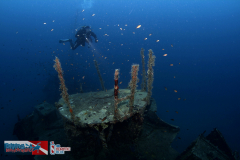 06---diving-in-montenegro-divingmontenegro-ronjenje-scuba-diving---wreck-dive-patrolac-olupina-kod-zanjica-crna-gora