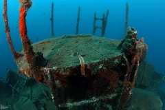 Patrolac - patrol boat wreck - Diving Montenegro - Adriatic Blue diving club - IMG_5961