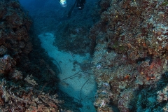 Sirena hole mermaid holle ronjenje cave dive - ronjenje Diving Montenegro - Adriatic Blue diving club - IMG_8368