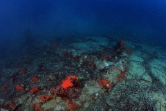 Turkish Galley wreck dive - Diving Montenegro - Adriatic Blue diving club
