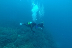 Cape Wolf - Diving Montenegro - Adriatic Blue diving club