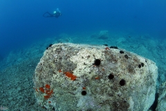Golden Cape - Diving Montenegro - Adriatic Blue diving club